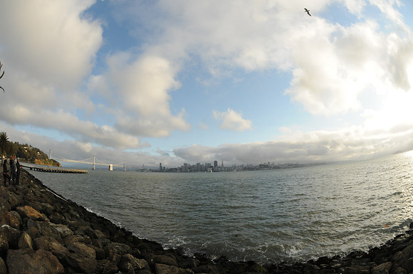 DSC_8218