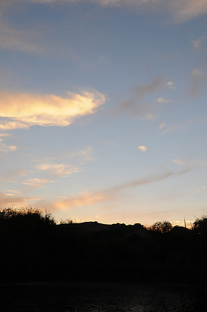 DSC_6617