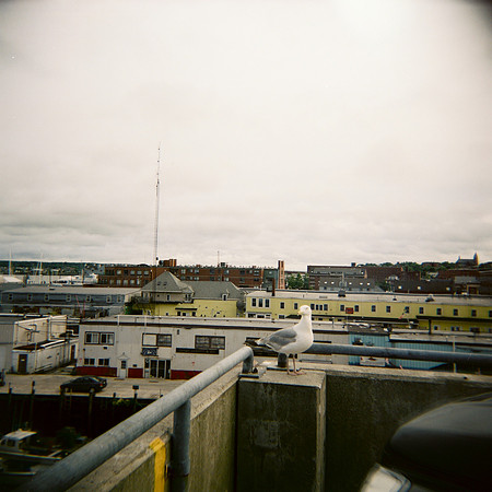 maine-trip--2009_3813792166_o