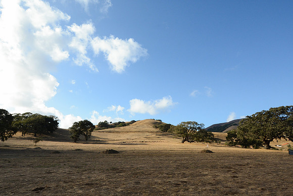 DSC_1009
