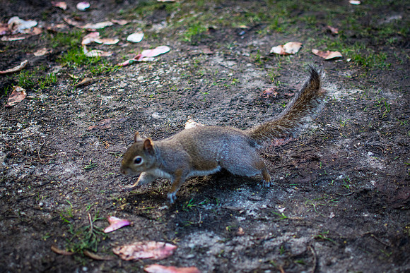 DSC_5400