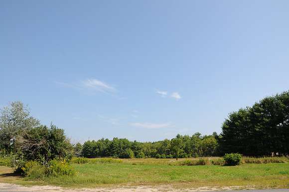 DSC_2960