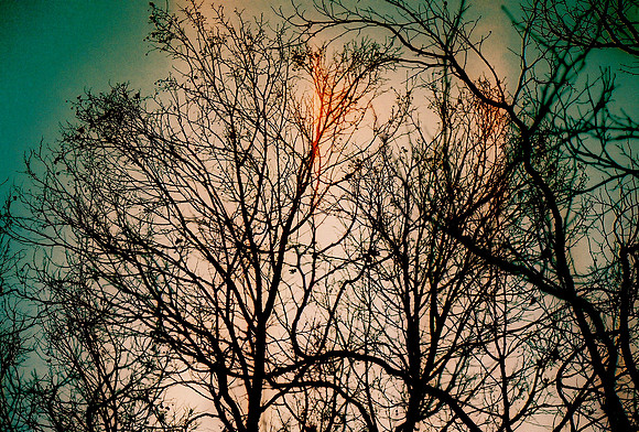 fh010011_5696470557_o