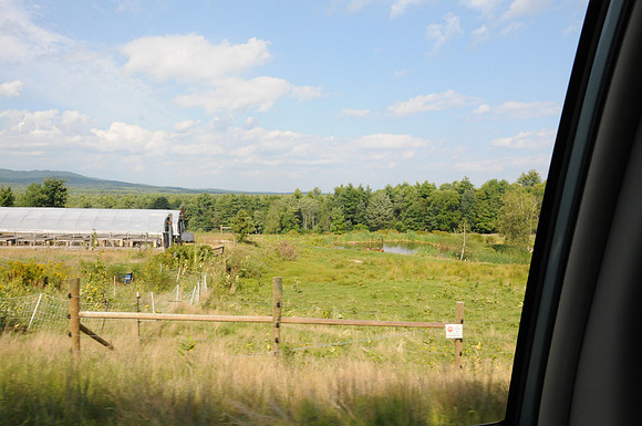 DSC_3011