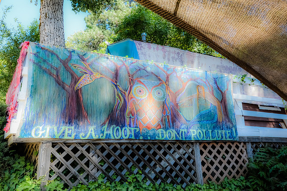 DSC_6699