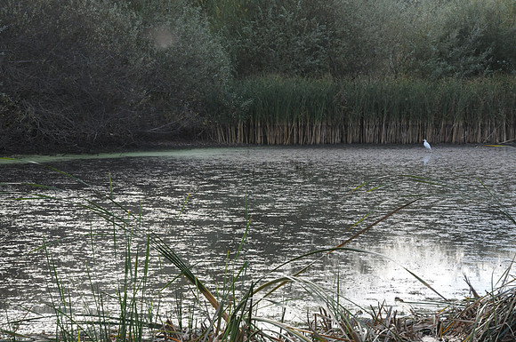 DSC_6413