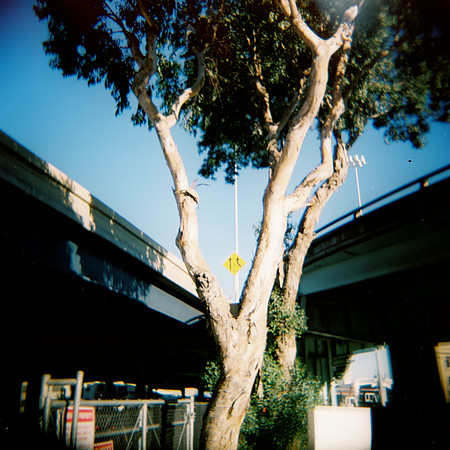 fh000005_5310432945_o