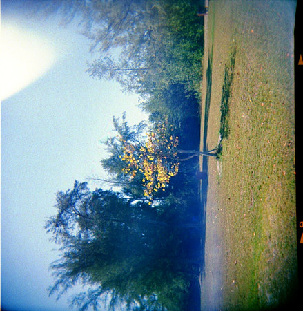 florida-trip-309_3387116292_o
