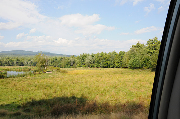 DSC_3006
