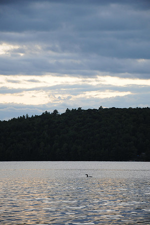 DSC_2867
