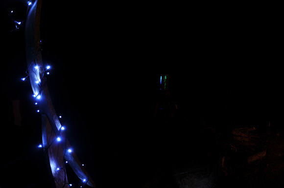 DSC_2887
