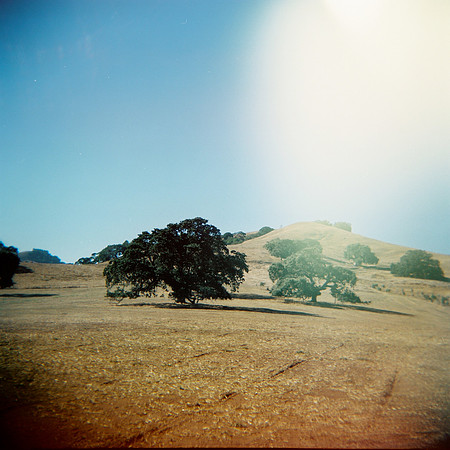 novato-ca_3985747993_o