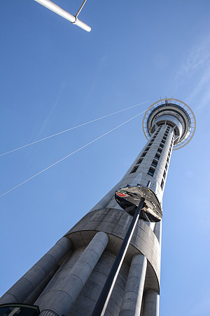 DSC_3118