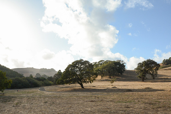 DSC_1011