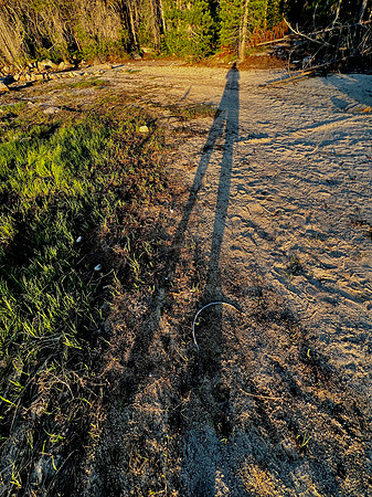 IMG_2154