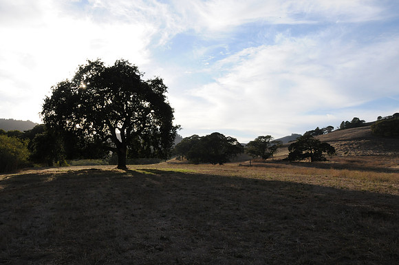 DSC_6449
