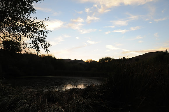 DSC_6605