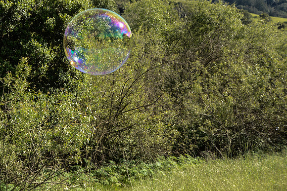 DSC_4307