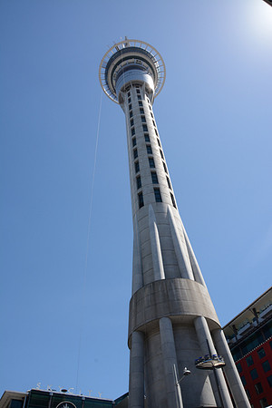 DSC_3106