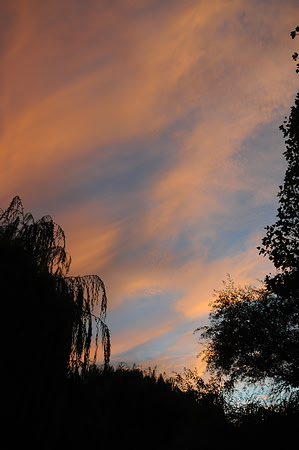 DSC_6645