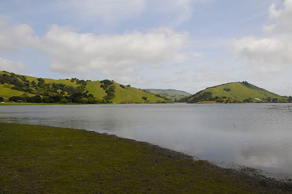 DSC_3365