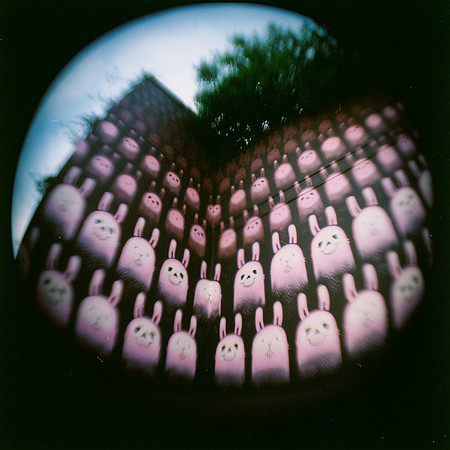 jeremy-fish-shot-with-fisheye-lens-on-holga-120-camera_5319240532_o