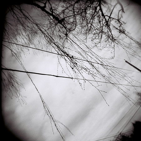 portland-or_3838532891_o